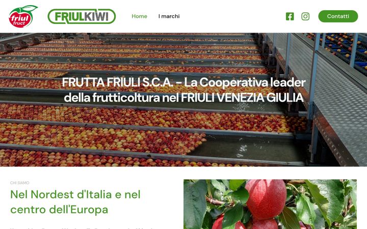 Screenshot of friulkiwi.com