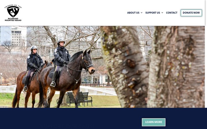 Screenshot of frmsvirginia.com