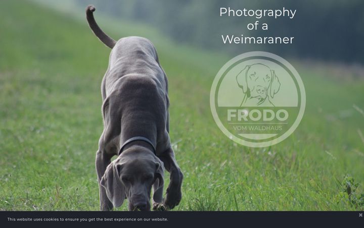 Screenshot of frodovomwaldhaus.nl