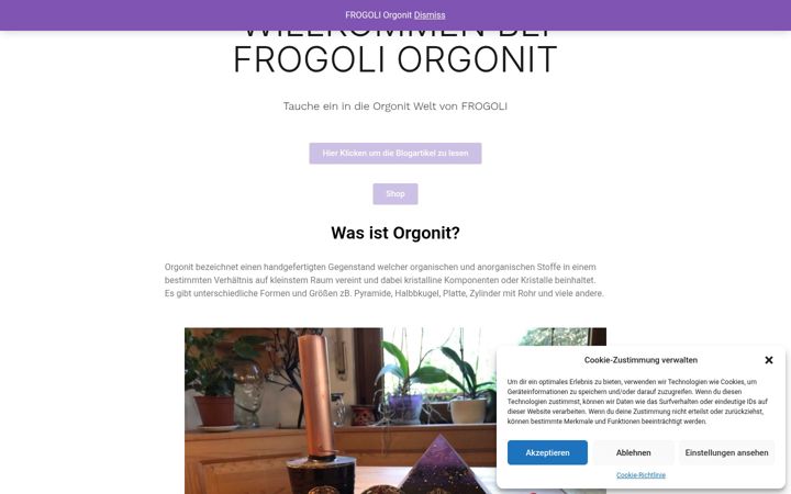 Screenshot of frogoli-orgonit.de