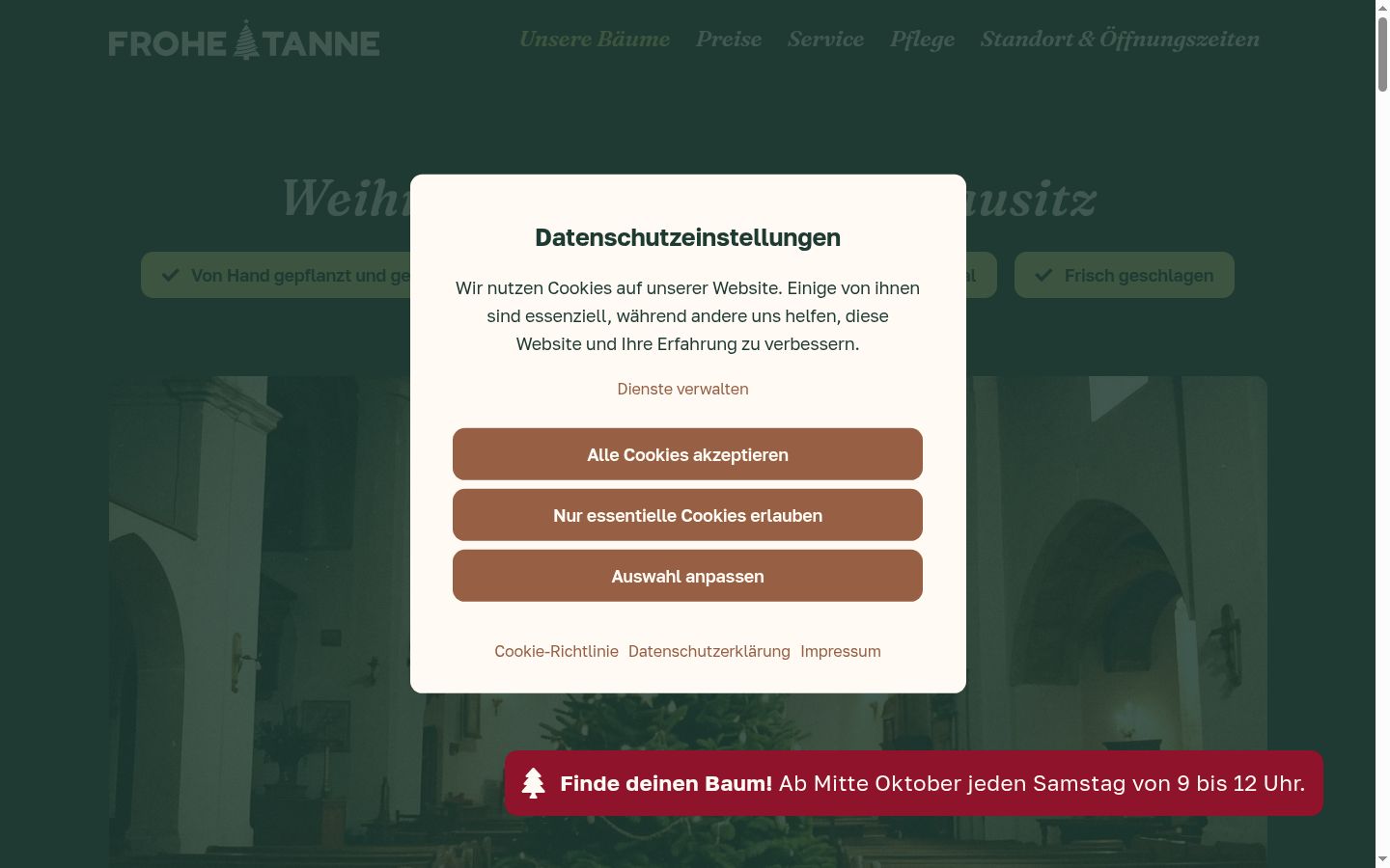Screenshot del banner di consenso mostrato prima di qualsiasi interazione