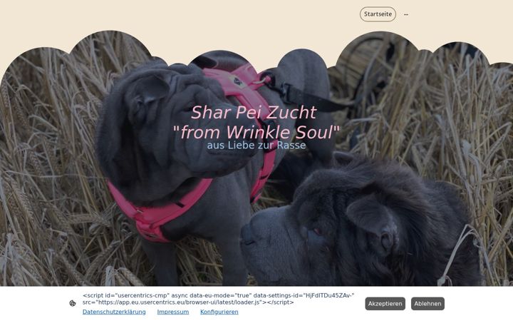 Screenshot of from-wrinkle-soul.de