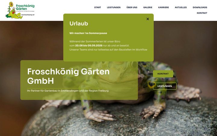 Screenshot of froschkoenig.net