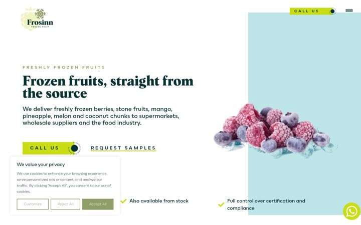 Screenshot of frosinn.com