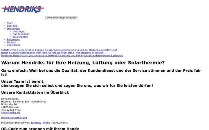 Screenshot von frostlos.de