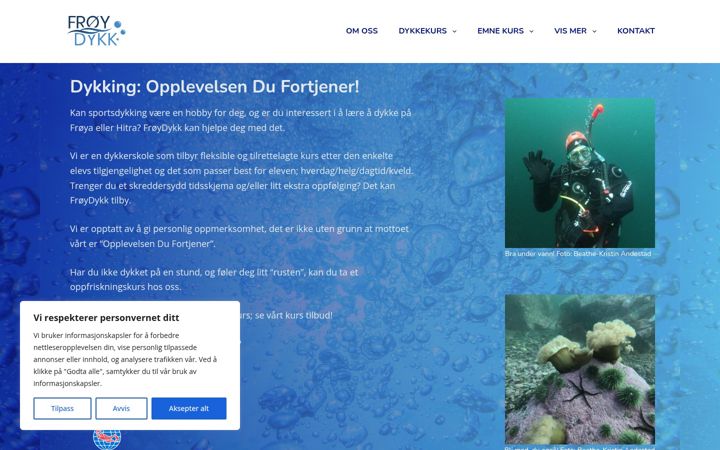 Screenshot of froydykk.no