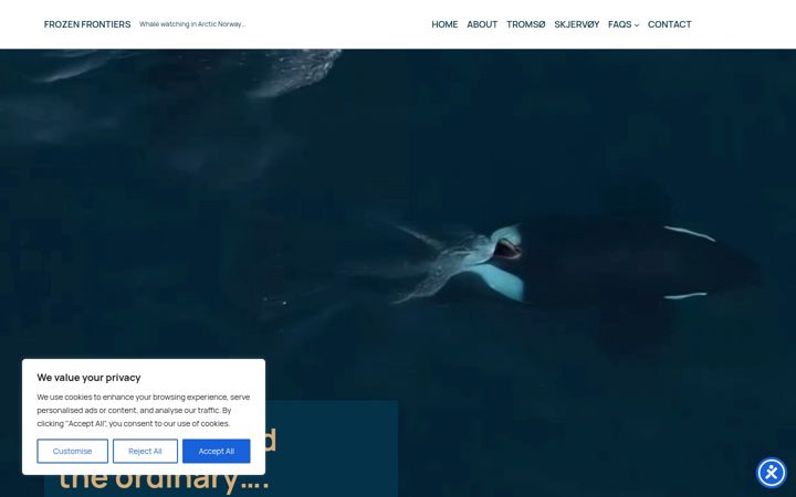 Screenshot of frozen-frontiers.com