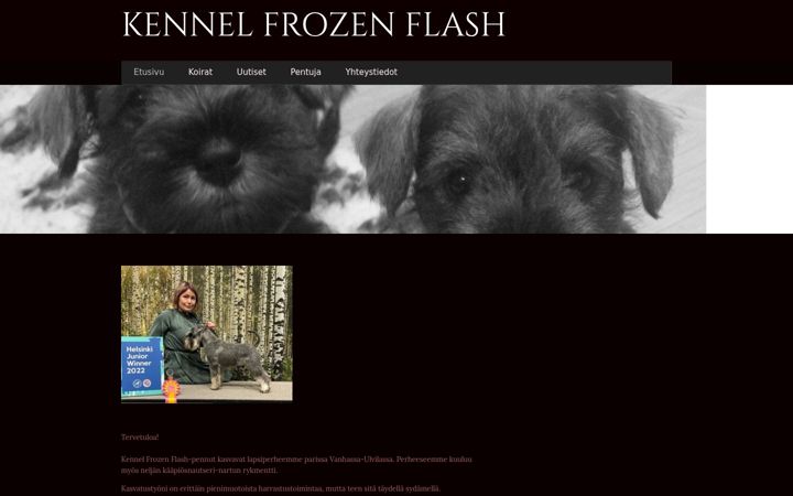 Captură de ecran a frozenflash.fi