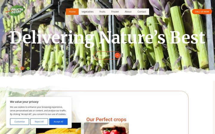 Screenshot of fructaegypt.com