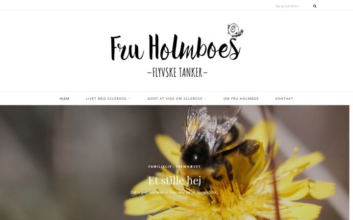 Screenshot of fruholmboe.dk