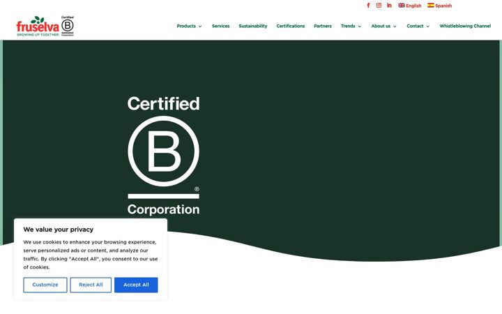 Screenshot of fruselva.com