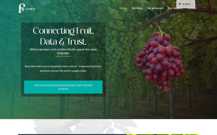 Screenshot of frusion.de
