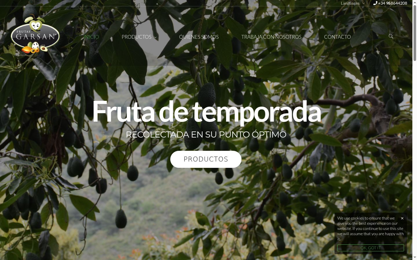 Captura de pantalla del banner de consentimiento mostrado antes de cualquier interacción