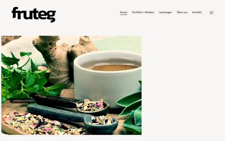 Screenshot of fruteg.de