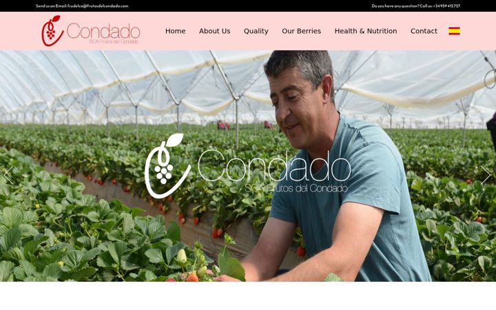Screenshot of frutosdelcondado.es