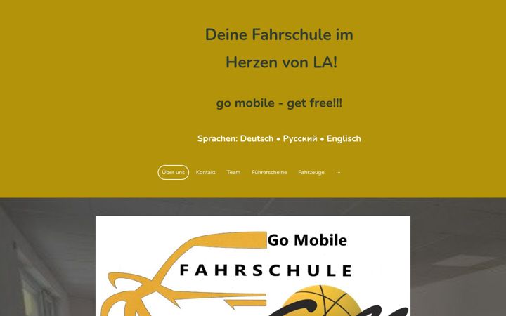 Captura de pantalla de fs-go-mobile.de