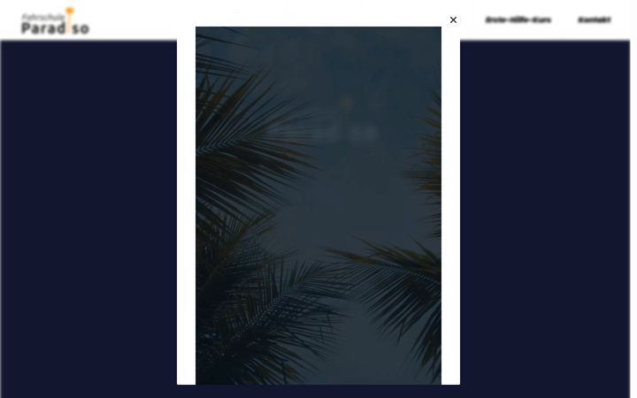 Screenshot of fs-paradiso.de