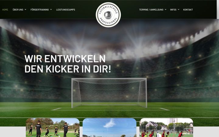 Screenshot of fs-pro.de