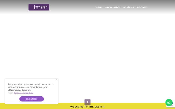 Screenshot of fscherer.com.br