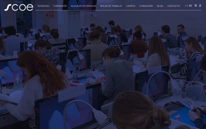 Screenshot of fscoe.org