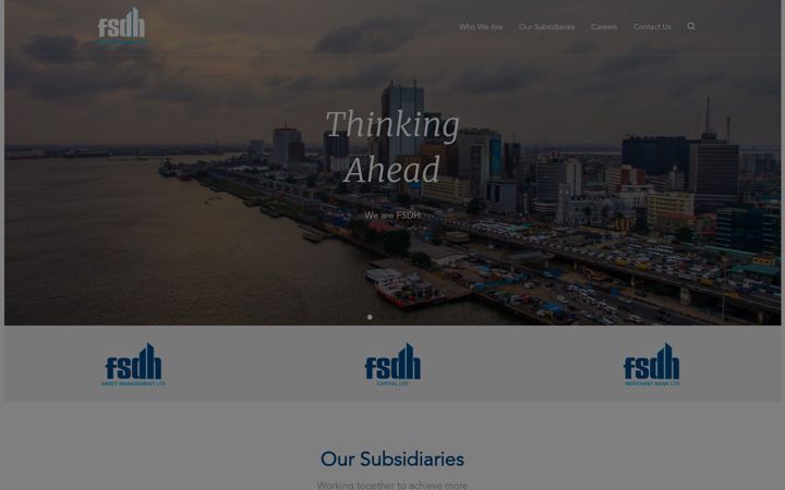 Screenshot of fsdhgroup.com