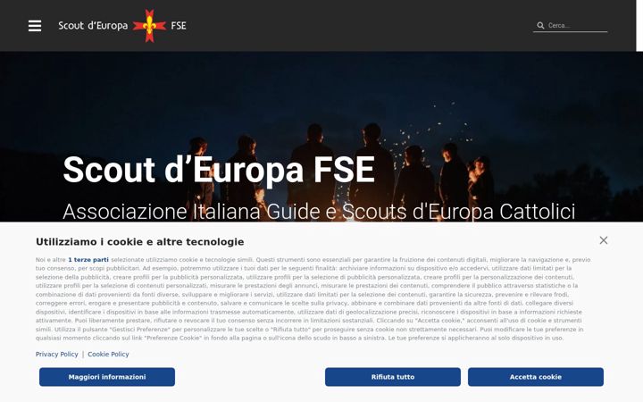 Screenshot of fse.it