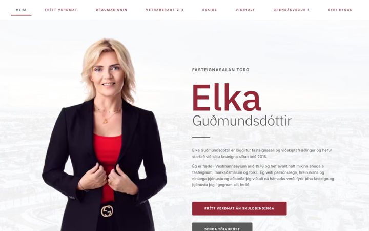 Screenshot of fselka.is