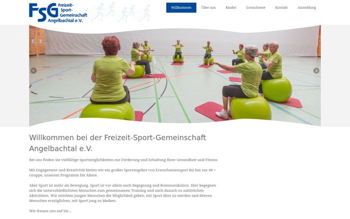 Screenshot of fsg-angelbachtal.de