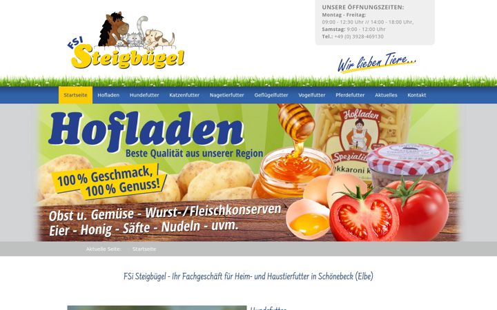 Screenshot von fsi-steigbuegel.de