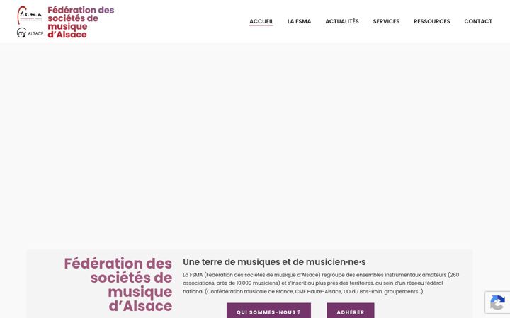 Screenshot of fsma.com