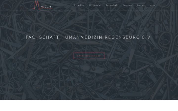 Snímek obrazovky fsmed-regensburg.de