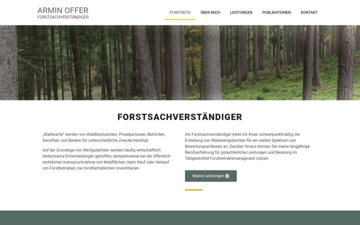 Skjámynd af fsv-offer.de