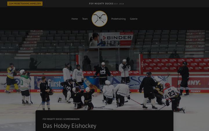 Screenshot di fsvmightyducks.de