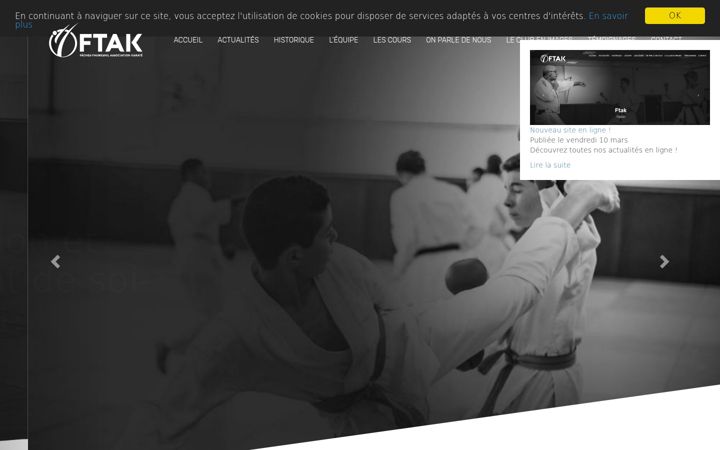Screenshot of ftak.fr