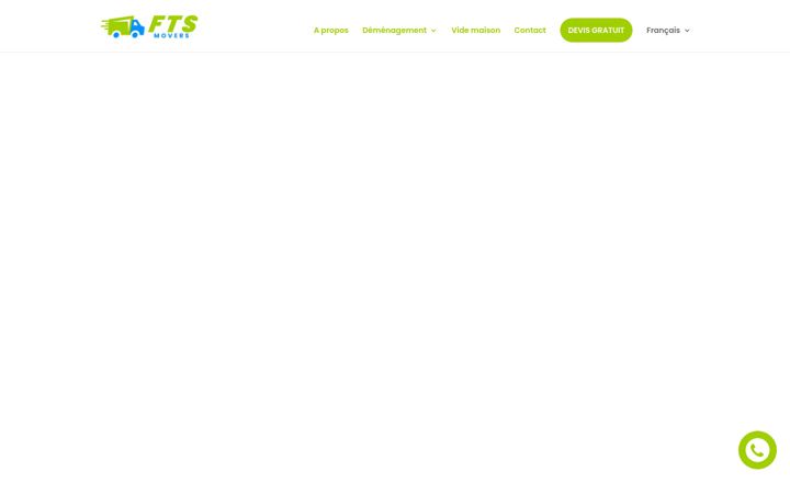 Screenshot του ftsmovers.be