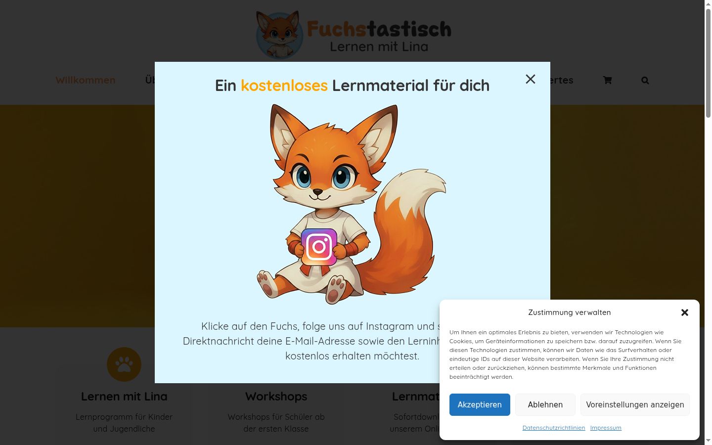 Screenshot des Einwilligungsbanners vor jeglicher Interaktion