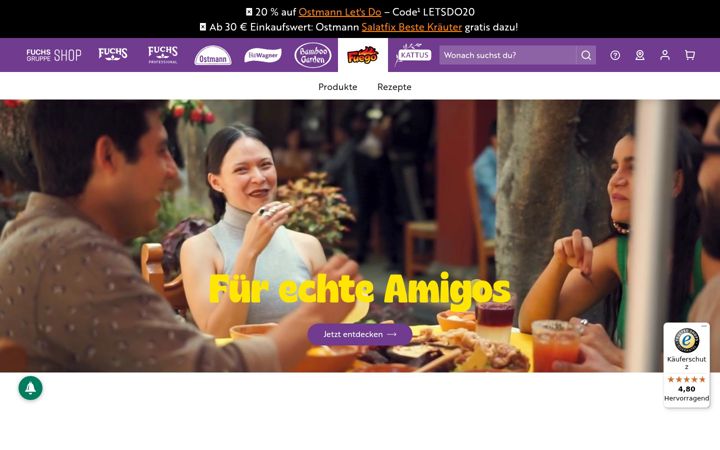 Screenshot of fuego.eu