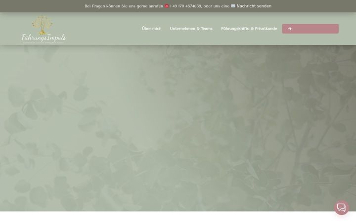 Screenshot of fuehrungs-impuls.de