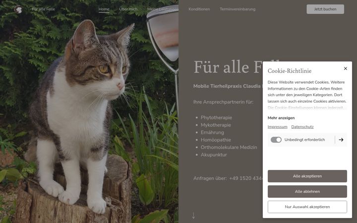 Screenshot of fuerallefelle-freudenberg.de