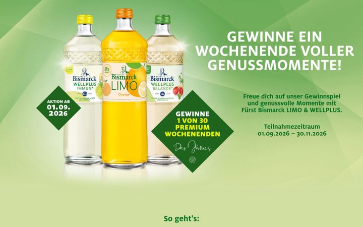 Screenshot of fuerstbismarck-aktion.de