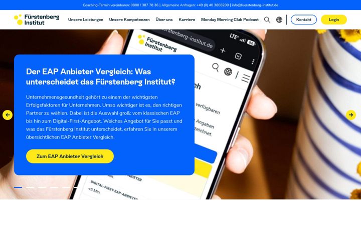 Screenshot of fuerstenberg-institut.de