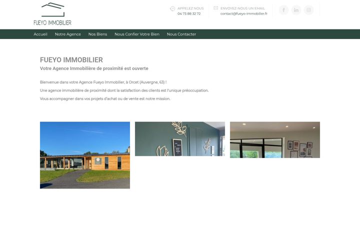 Screenshot of fueyo-immobilier.fr