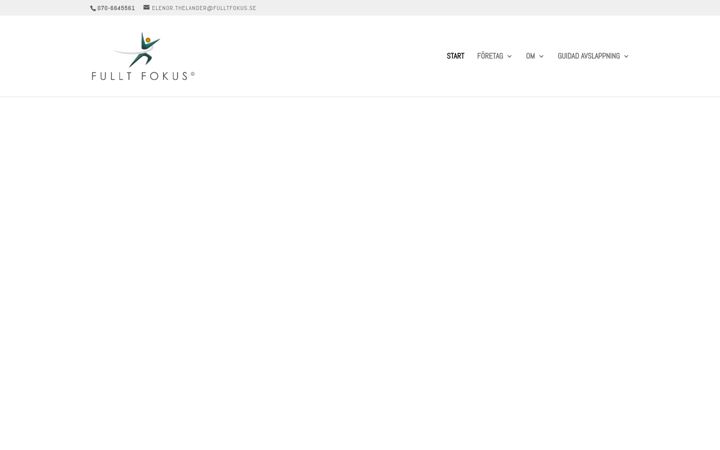 Screenshot of fulltfokus.se