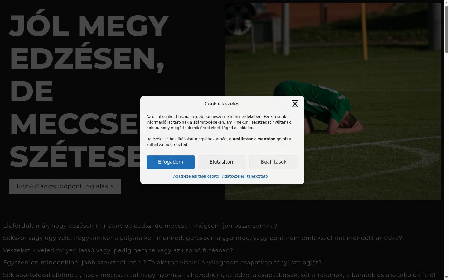 Skærmbillede af samtykkebanneret, som det blev vist før nogen interaktion