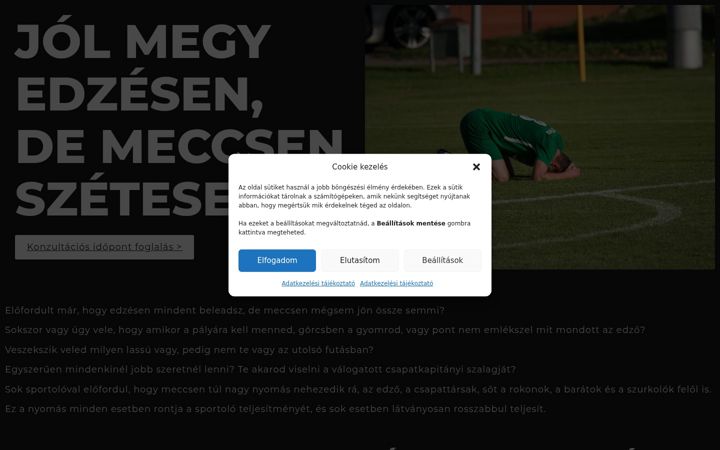 Screenshot of fulopkaroly.hu