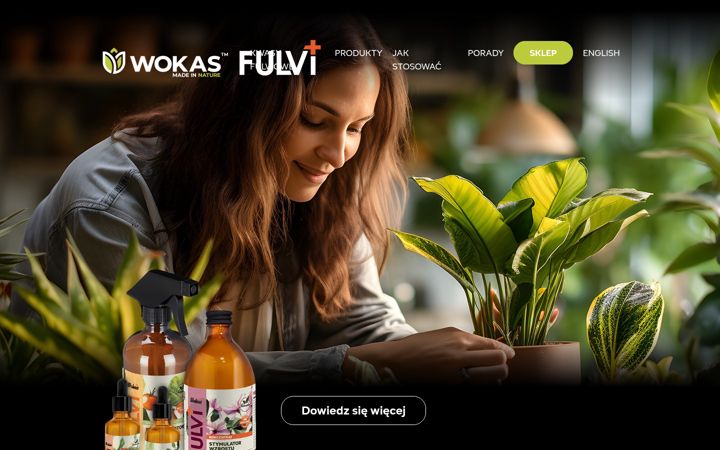 Screenshot of fulvi.pl