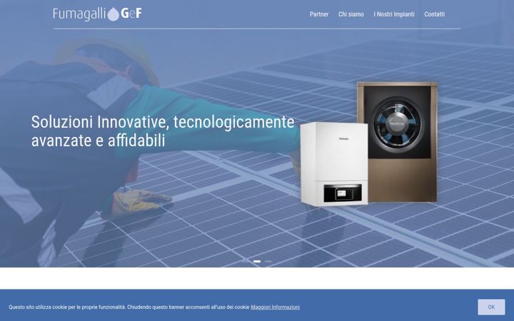 Screenshot of fumagalligef.it