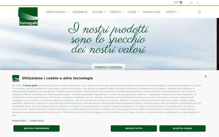 Screenshot stránky fumagallisalumi.it