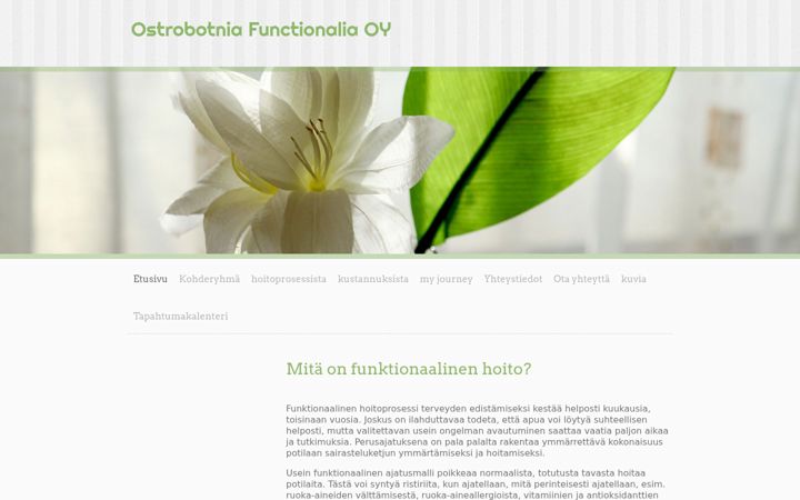 Captură de ecran a functionalia.fi