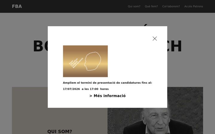 Snímek obrazovky fundacioboschaymerich.org